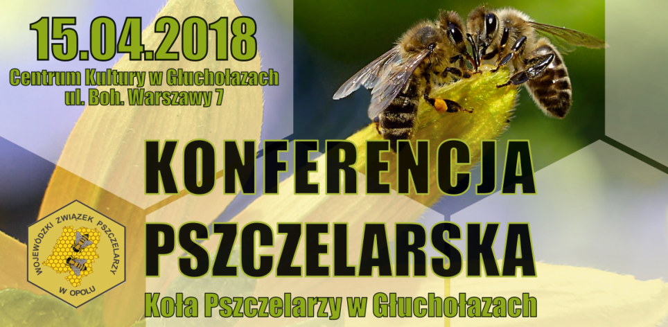 konferencja