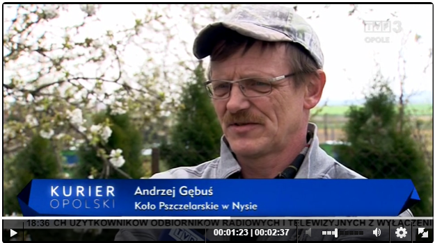 tvp 3 opole - zatrucie pszczół
