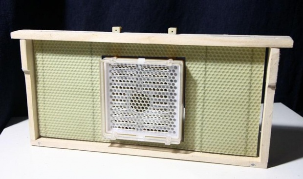 zdjecie ze strony www.fotosik.pl/zdjecie/8d39da90394112fa